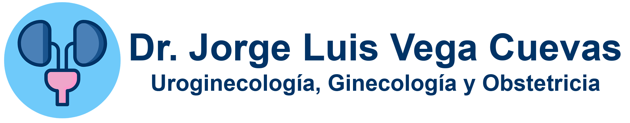 Uroginecología, Ginecología y Obstetricia en CDMX - Dr. Jorge Luis Vega Cuevas